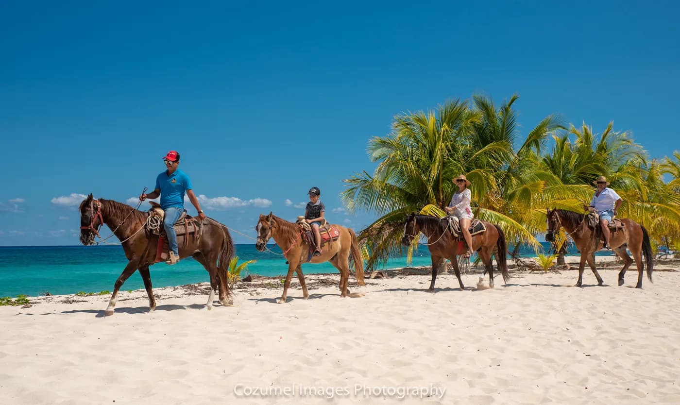 Mr. Sancho's Horse Back Riding